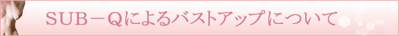�r�t�a�|�p�ɂ��o�X�g�A�b�v�ɂ���