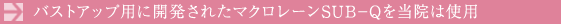 �o�X�g�A�b�v�p�ɊJ�����ꂽ�}�N�����[��SUB-Q�𓖉@�͎g�p